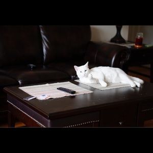 Meet your Posher, Miranda